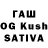 Псилоцибиновые грибы Magic Shrooms Vova Sankin