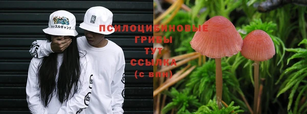 а пвп мука Протвино
