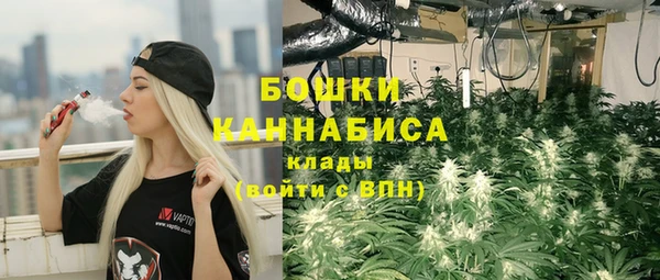 ГАЛЛЮЦИНОГЕННЫЕ ГРИБЫ Приозерск