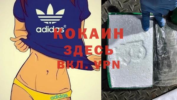 ГАЛЛЮЦИНОГЕННЫЕ ГРИБЫ Приозерск